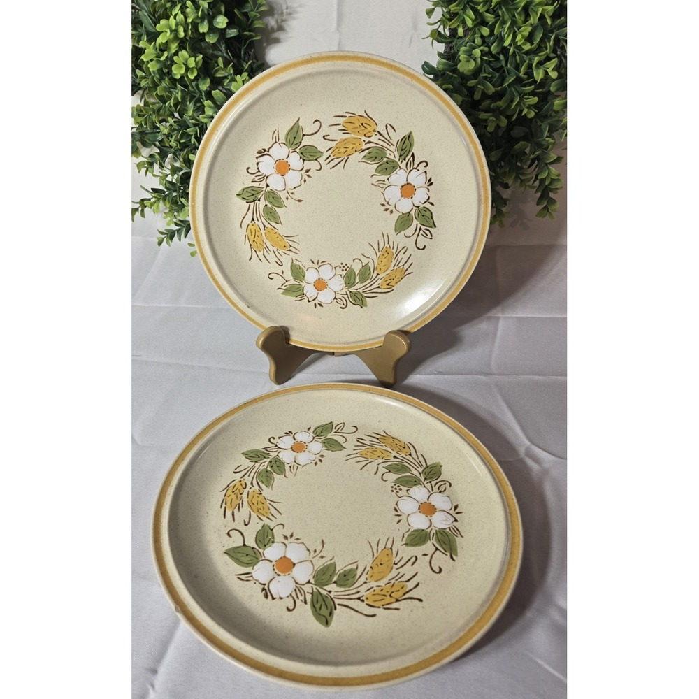 2 Hearthside Dinner Plates Garden Festival Prairie Flowers Stoneware 10.5+" Set